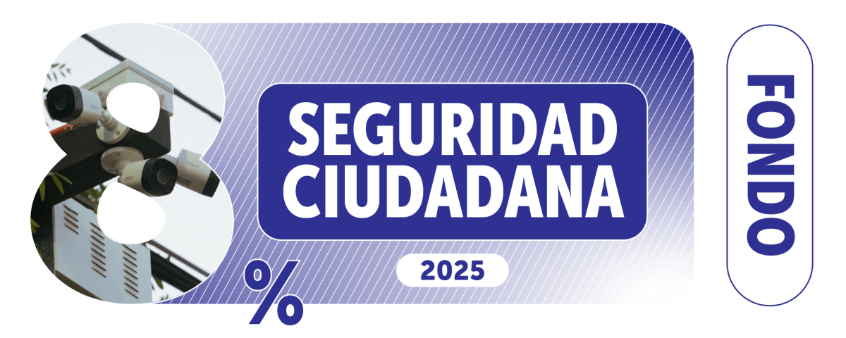 Seguridad Ciudadana